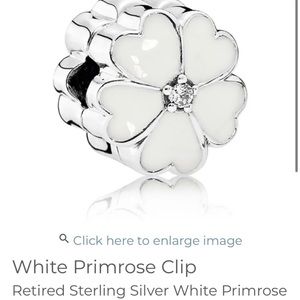 Pandora clip/ charm. This is a retired item.